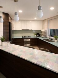 Parkshore (D15), Condominium #611453221